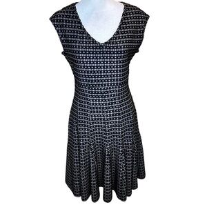 Taylor Sleeveless Fit & Flare V-Neck Dress Size 4